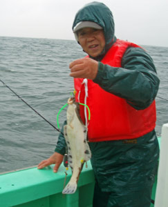 grp0614181219.jpg 243×300 19K